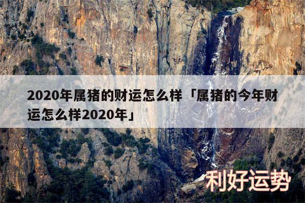 2020年属猪的财运怎么样及属猪的今年财运怎么样2020年