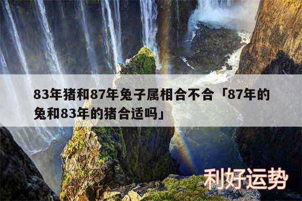 83年猪和87年兔子属相合不合及87年的兔和83年的猪合适吗