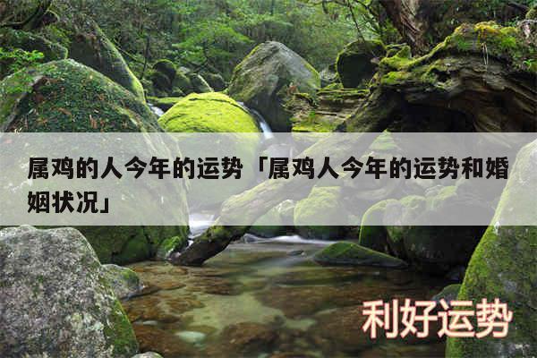 属鸡的人今年的运势及属鸡人今年的运势和婚姻状况