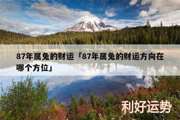 87年属兔的财运及87年属兔的财运方向在哪个方位