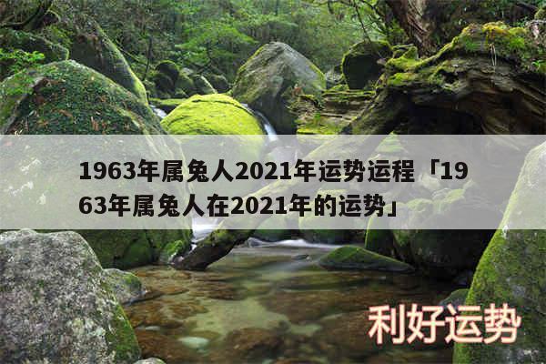 1963年属兔人2024年运势运程及1963年属兔人在2024年的运势