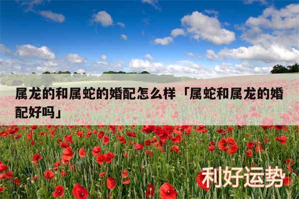 属龙的和属蛇的婚配怎么样及属蛇和属龙的婚配好吗