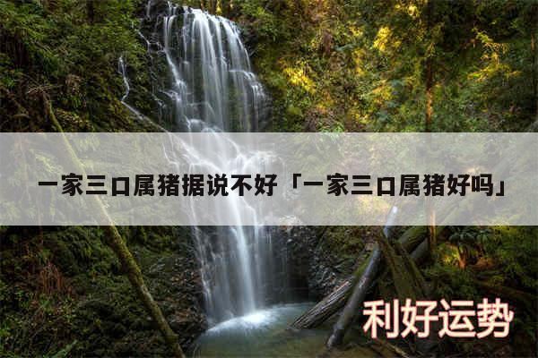 一家三口属猪据说不好及一家三口属猪好吗
