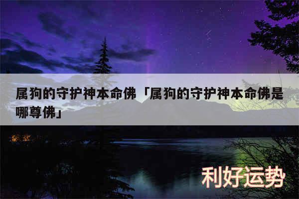 属狗的守护神本命佛及属狗的守护神本命佛是哪尊佛