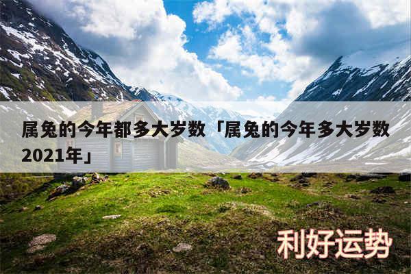 属兔的今年都多大岁数及属兔的今年多大岁数2024年