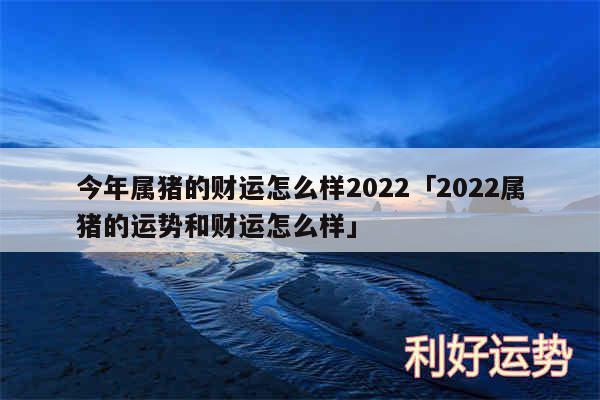 今年属猪的财运怎么样2024及2024属猪的运势和财运怎么样