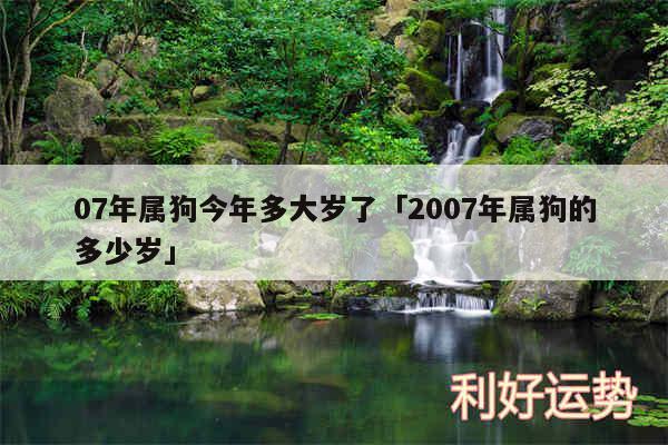 07年属狗今年多大岁了及2007年属狗的多少岁