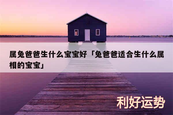 属兔爸爸生什么宝宝好及兔爸爸适合生什么属相的宝宝