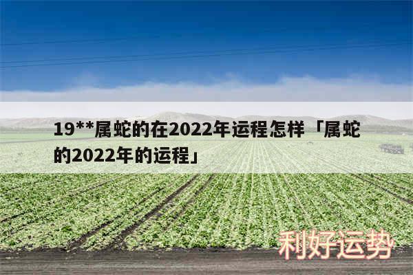 19**属蛇的在2024年运程怎样及属蛇的2024年的运程