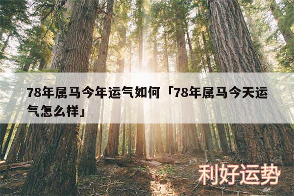 78年属马今年运气如何及78年属马今天运气怎么样