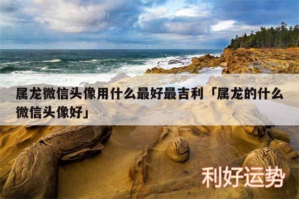 属龙微信头像用什么最好最吉利及属龙的什么微信头像好