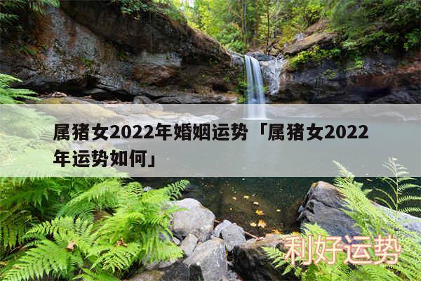 属猪女2024年婚姻运势及属猪女2024年运势如何