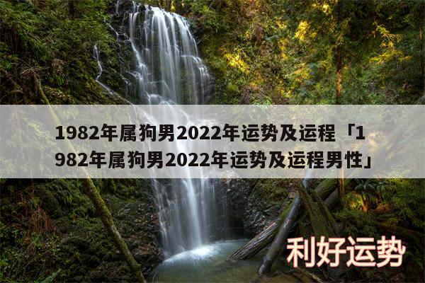 1982年属狗男2024年运势及运程及1982年属狗男2024年运势及运程男性