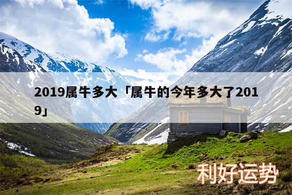 2019属牛多大及属牛的今年多大了2019