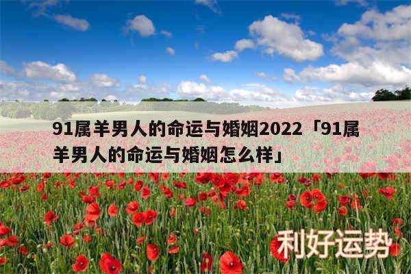 91属羊男人的命运与婚姻2024及91属羊男人的命运与婚姻怎么样