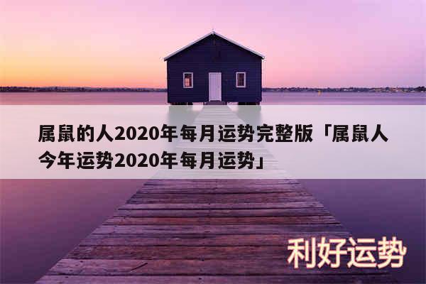 属鼠的人2020年每月运势完整版及属鼠人今年运势2020年每月运势