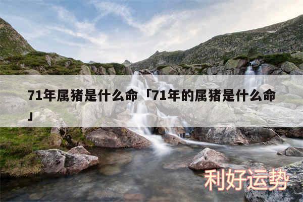 71年属猪是什么命及71年的属猪是什么命