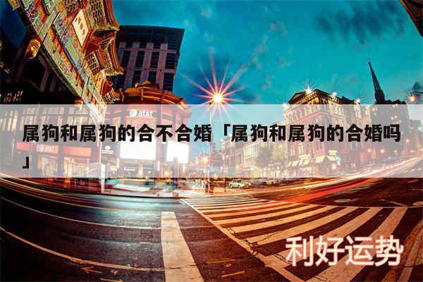 属狗和属狗的合不合婚及属狗和属狗的合婚吗