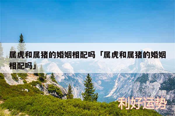 属虎和属猪的婚姻相配吗及属虎和属猪的婚姻相配吗
