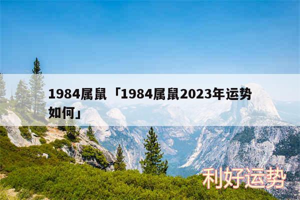 1984属鼠及1984属鼠2024年运势如何
