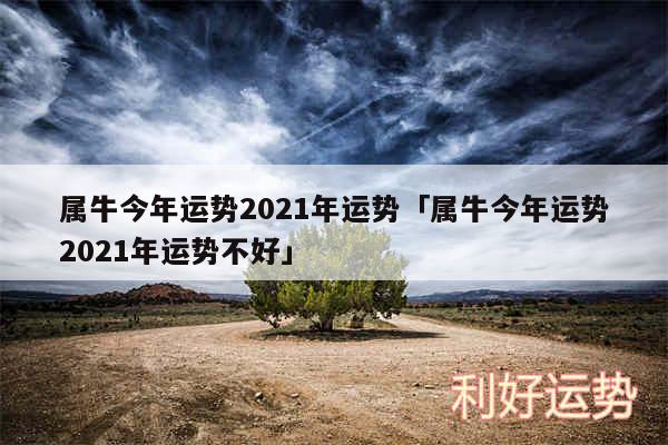 属牛今年运势2024年运势及属牛今年运势2024年运势不好