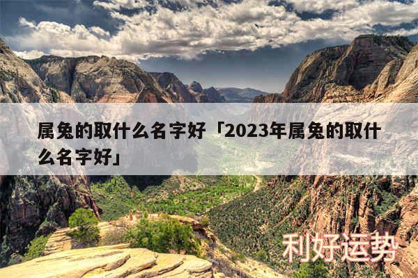 属兔的取什么名字好及2024年属兔的取什么名字好