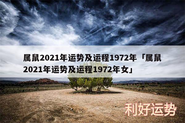 属鼠2024年运势及运程1972年及属鼠2024年运势及运程1972年女