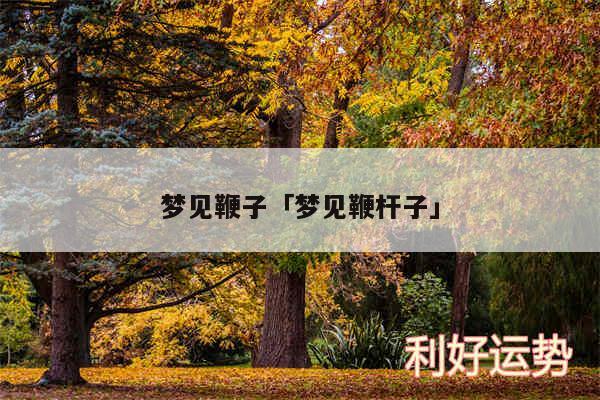 梦见鞭子及梦见鞭杆子