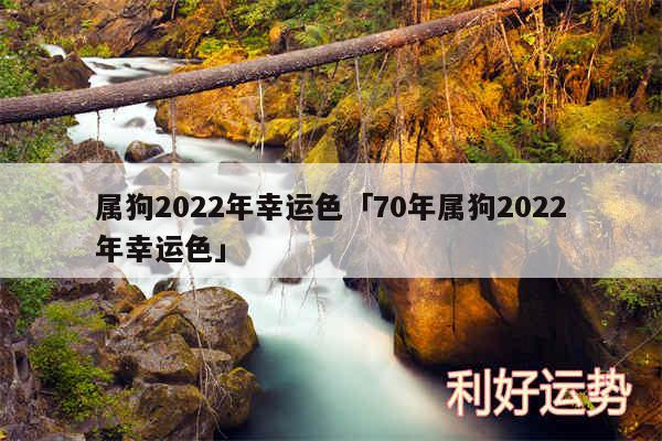 属狗2024年幸运色及70年属狗2024年幸运色