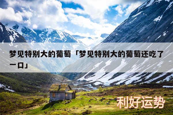 梦见特别大的葡萄及梦见特别大的葡萄还吃了一口