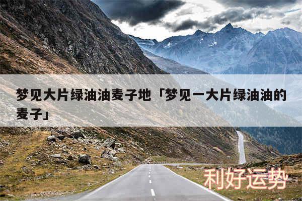 梦见大片绿油油麦子地及梦见一大片绿油油的麦子