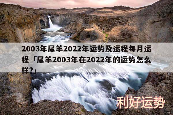 2003年属羊2024年运势及运程每月运程及属羊2003年在2024年的运势怎么样?