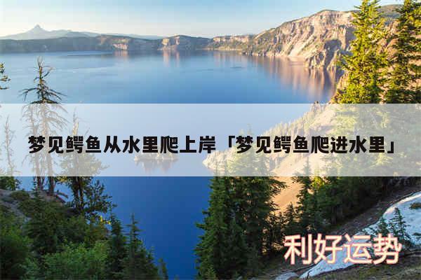 梦见鳄鱼从水里爬上岸及梦见鳄鱼爬进水里