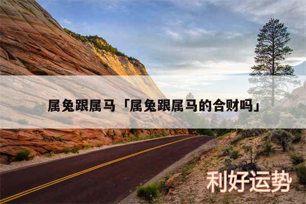 属兔跟属马及属兔跟属马的合财吗