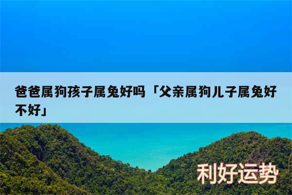 爸爸属狗孩子属兔好吗及父亲属狗儿子属兔好不好