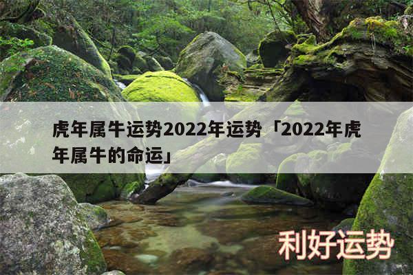 虎年属牛运势2024年运势及2024年虎年属牛的命运