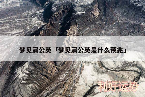 梦见蒲公英及梦见蒲公英是什么预兆