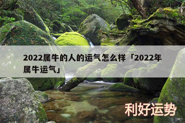 2024属牛的人的运气怎么样及2024年属牛运气