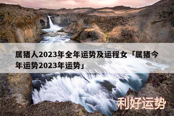 属猪人2024年全年运势及运程女及属猪今年运势2024年运势