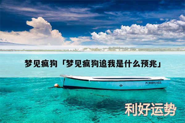 梦见疯狗及梦见疯狗追我是什么预兆