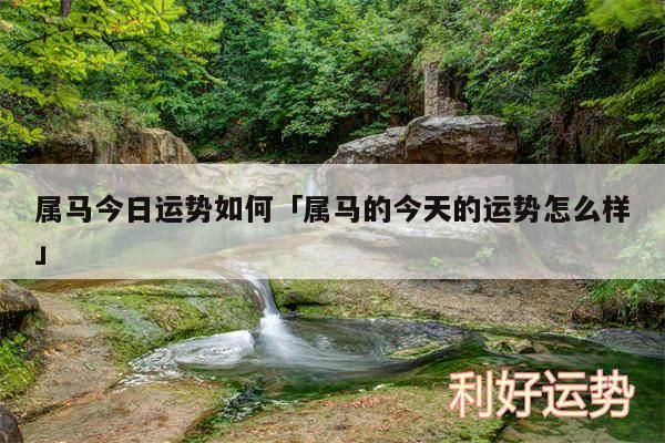 属马今日运势如何及属马的今天的运势怎么样