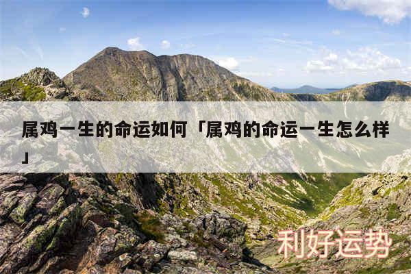 属鸡一生的命运如何及属鸡的命运一生怎么样