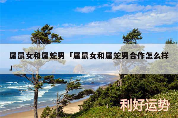 属鼠女和属蛇男及属鼠女和属蛇男合作怎么样