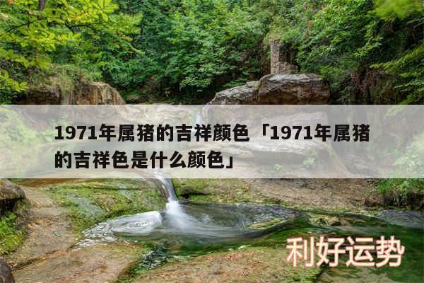 1971年属猪的吉祥颜色及1971年属猪的吉祥色是什么颜色