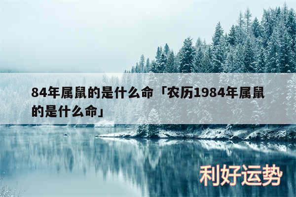 84年属鼠的是什么命及农历1984年属鼠的是什么命