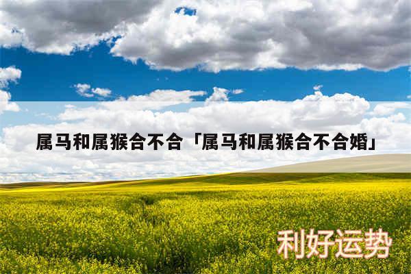 属马和属猴合不合及属马和属猴合不合婚