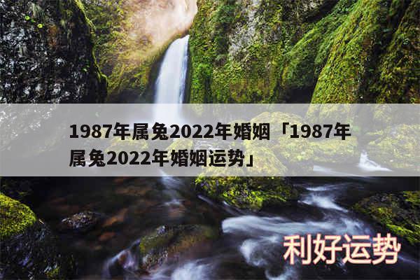 1987年属兔2024年婚姻及1987年属兔2024年婚姻运势