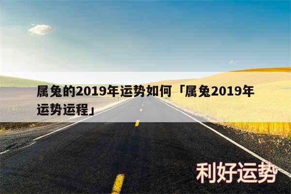 属兔的2019年运势如何及属兔2019年运势运程