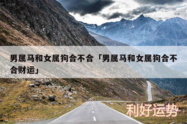 男属马和女属狗合不合及男属马和女属狗合不合财运