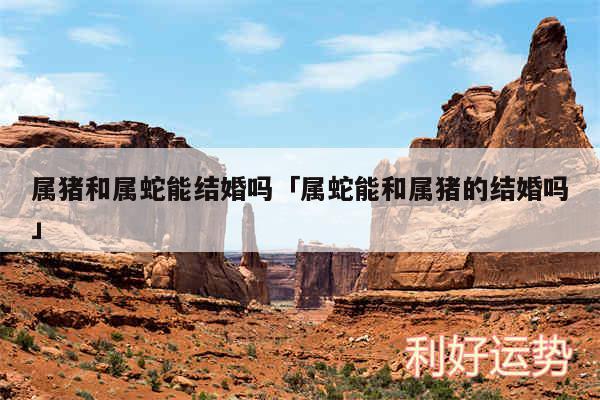 属猪和属蛇能结婚吗及属蛇能和属猪的结婚吗